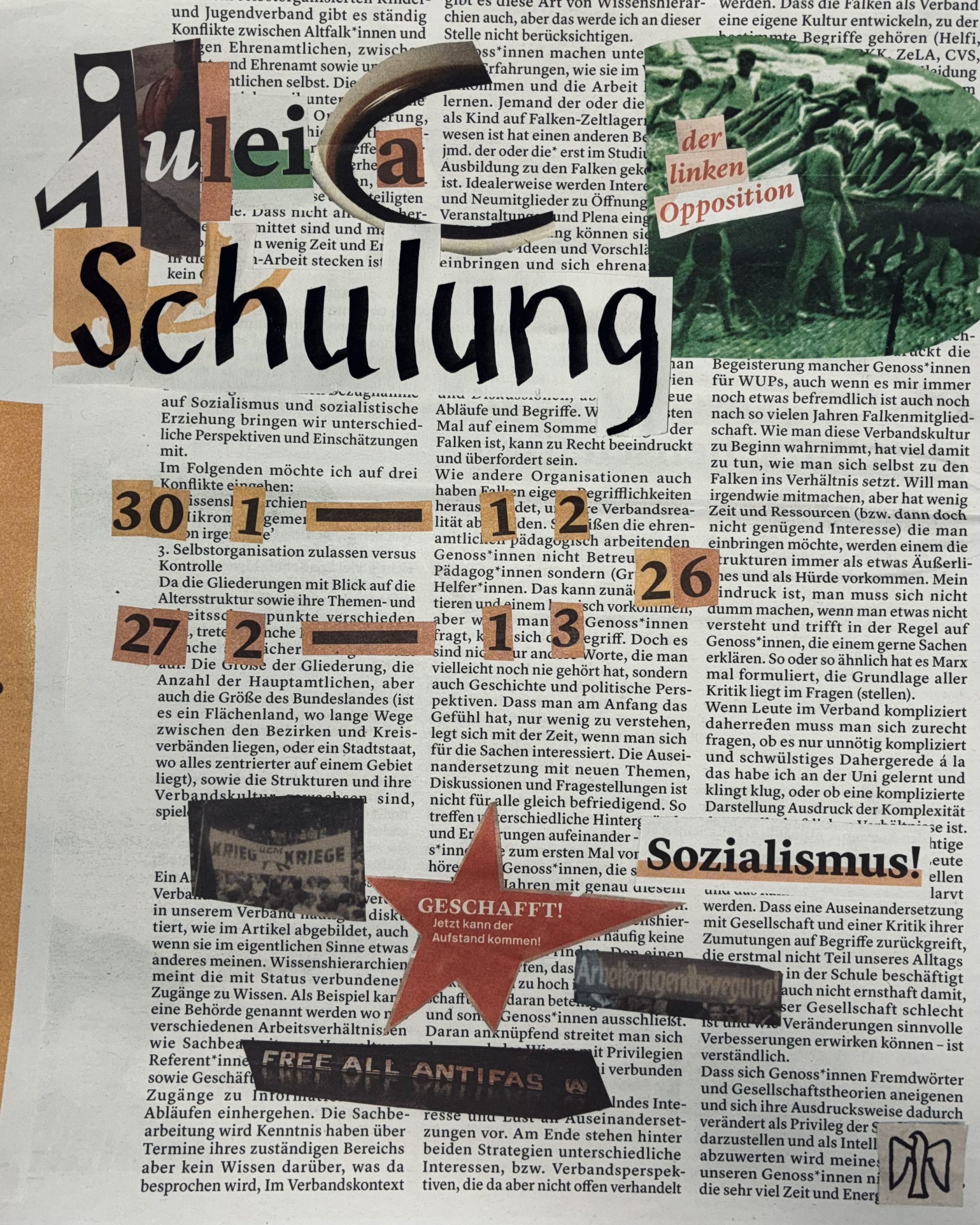 JuLeiCa Schulung 2026